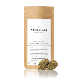 Canebiera Rosea CBD bio